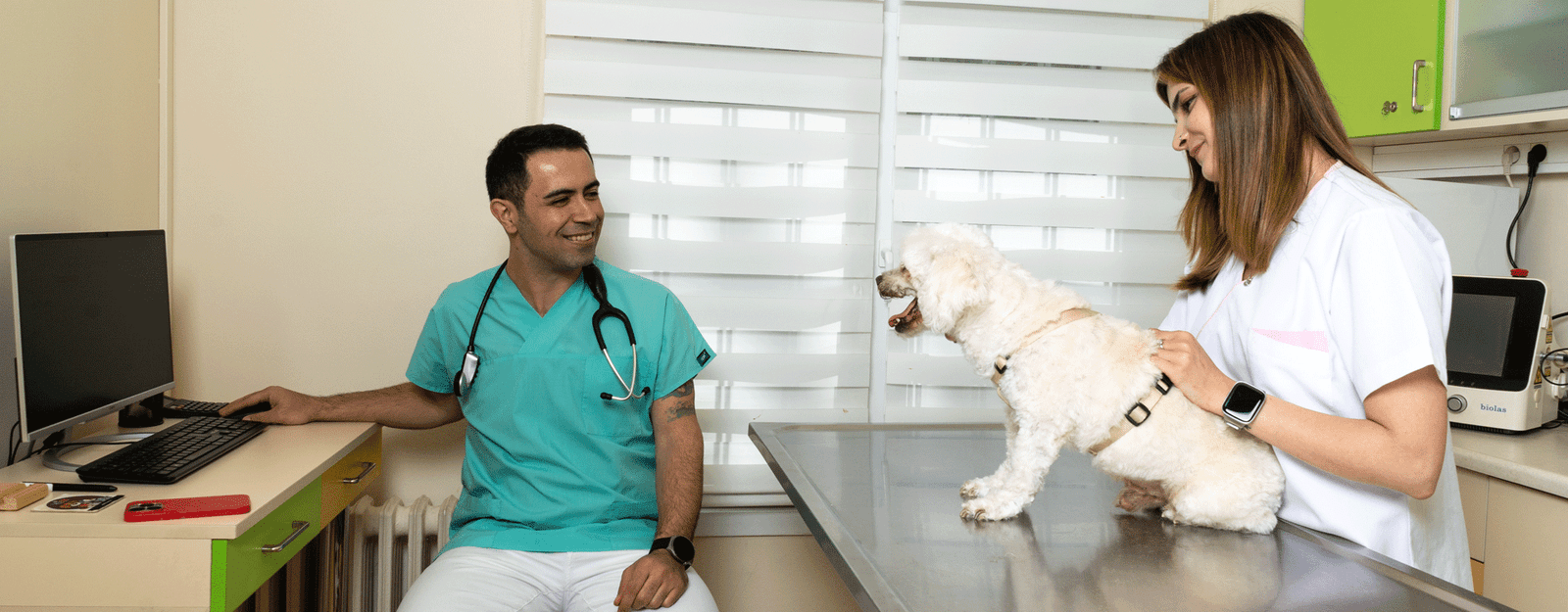 veteriner hekim faruk yasin erdem köpek bakımı görseli